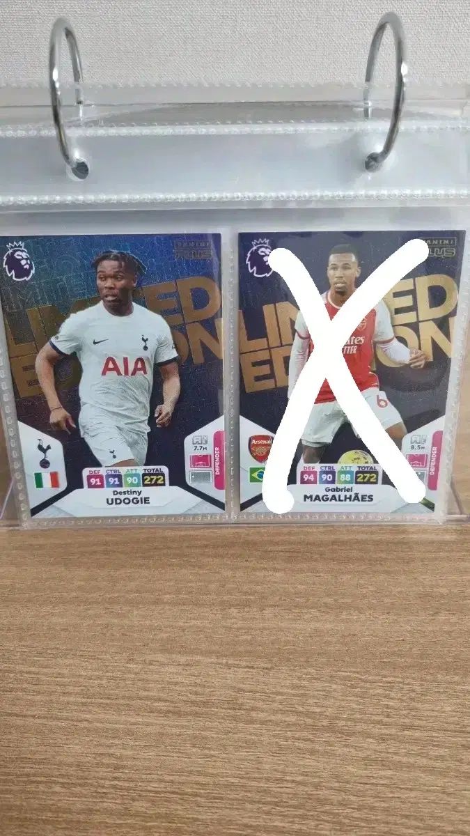 Panini パニーニ リミテッド エディション カード