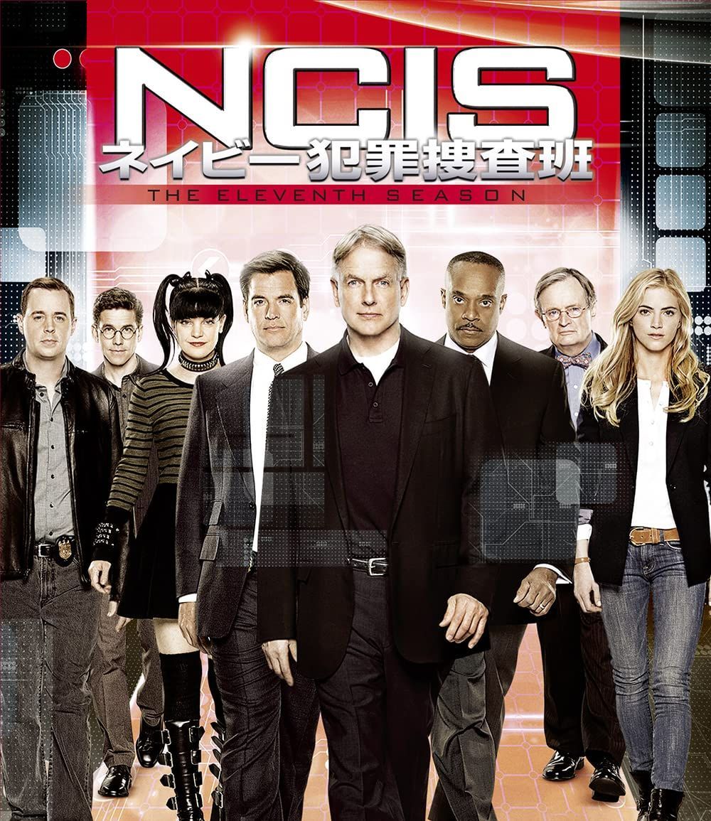 DVD NCIS ネイビー犯罪捜査班 シーズン11(トク選BOX)(12枚組) [DVD]