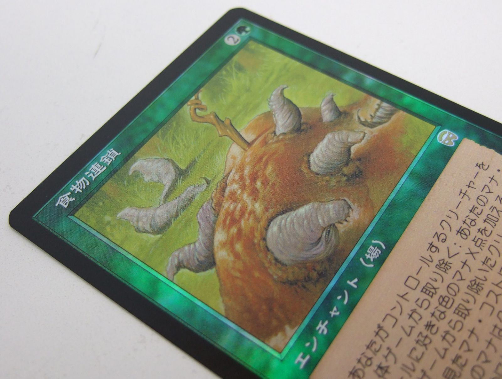 MTG 【Foil】食物連鎖（日本語版） MTG 食物連鎖 Foil 日本語版 プレイ用 - メルカリ