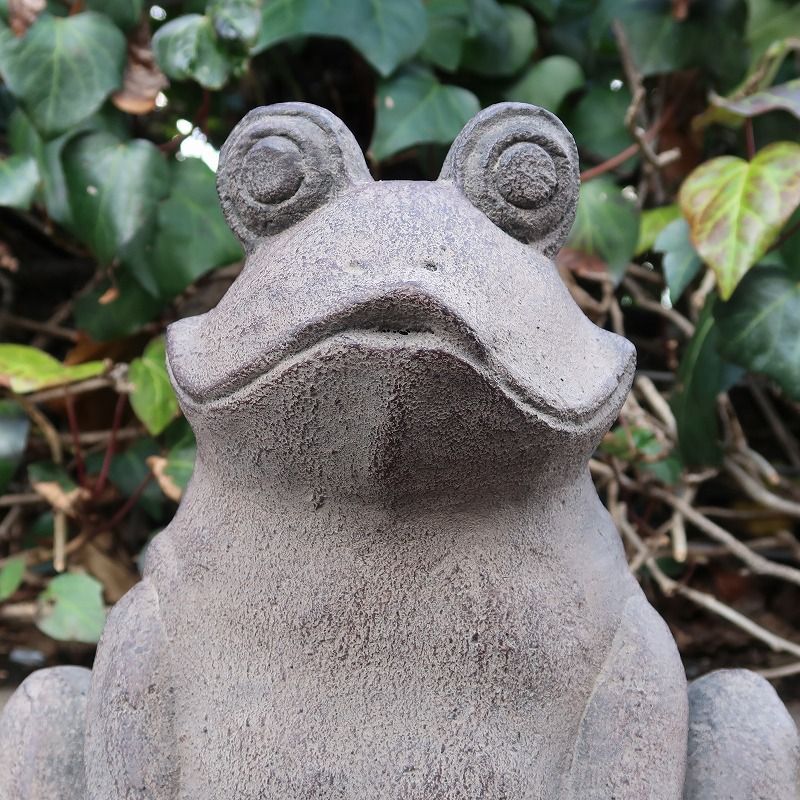 カエルの石像 Mサイズ 30cm コンクリート製 蛙の石像 かえるの