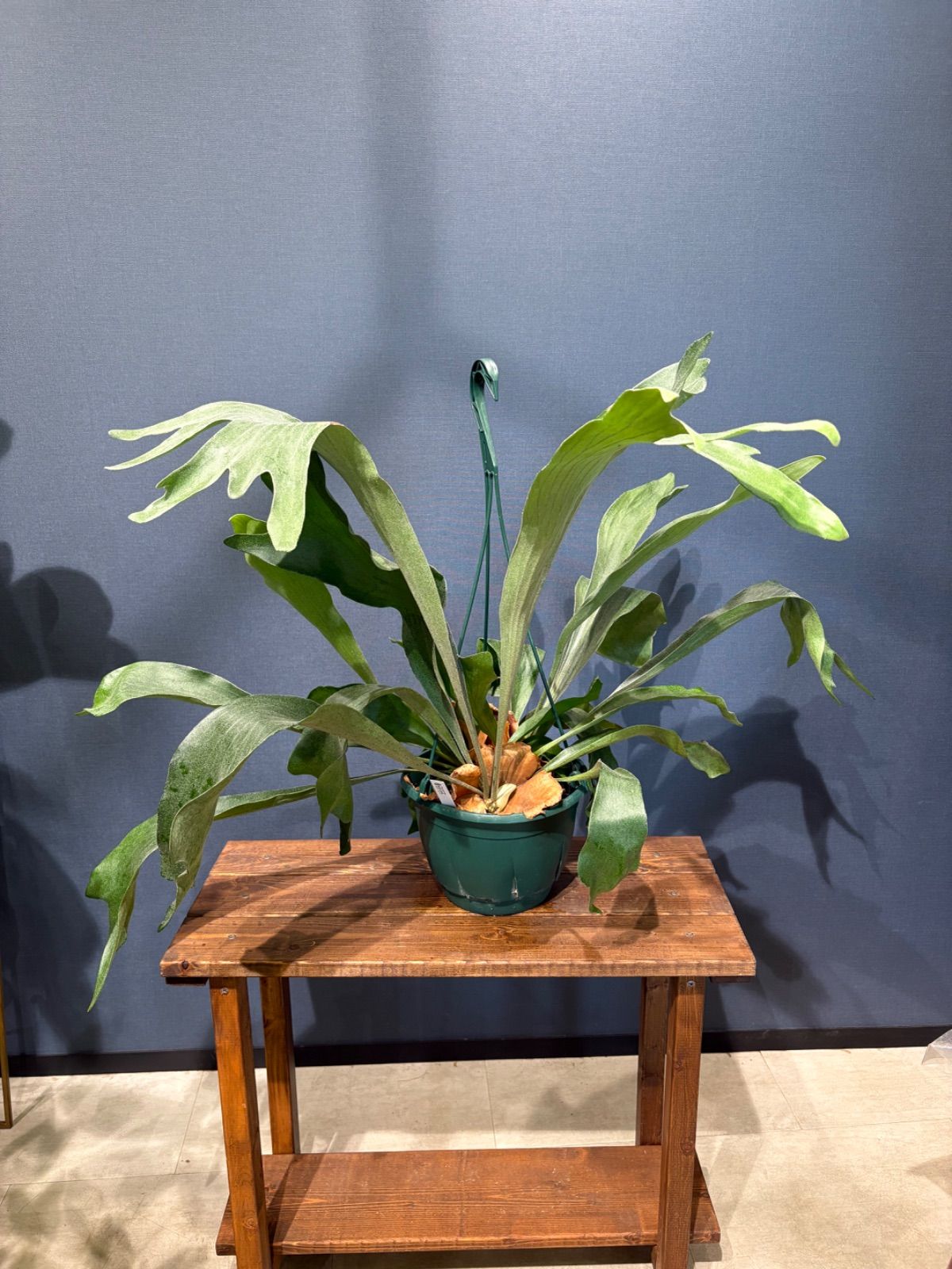 概ね綺麗Surface Go2 購入 LTE 8・128GB電池良好オフィスタイプカバ