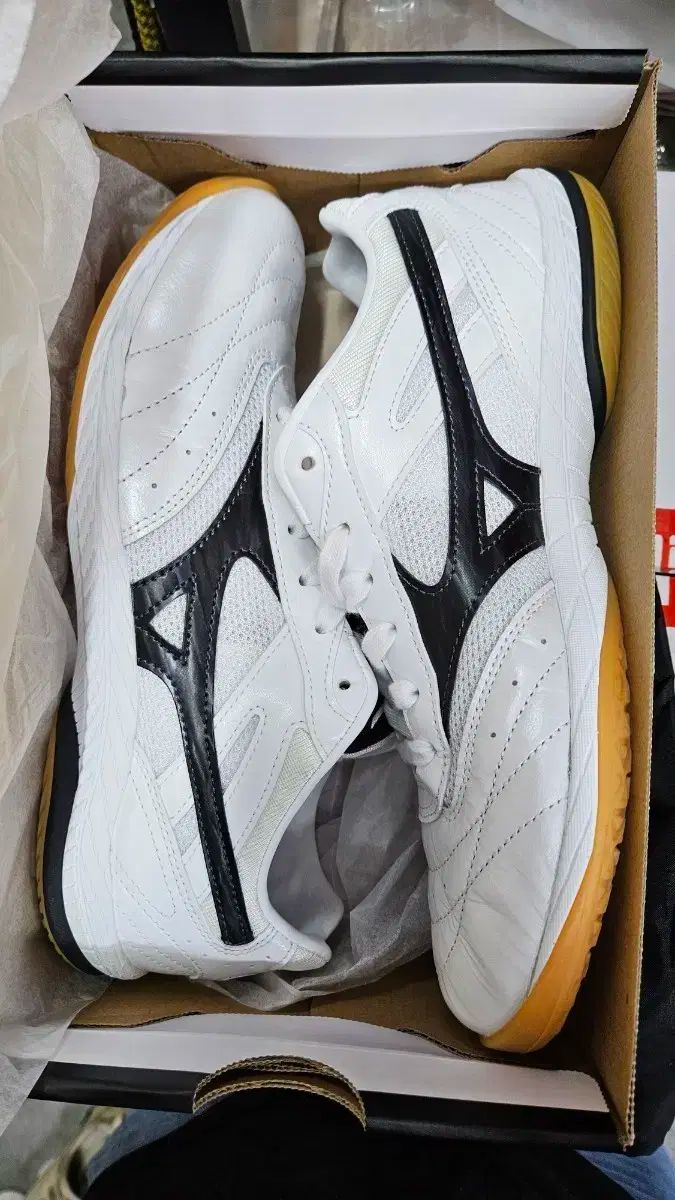 しなこボンボン 2個セット&しなこよくばりお菓子セット&マシュマロ