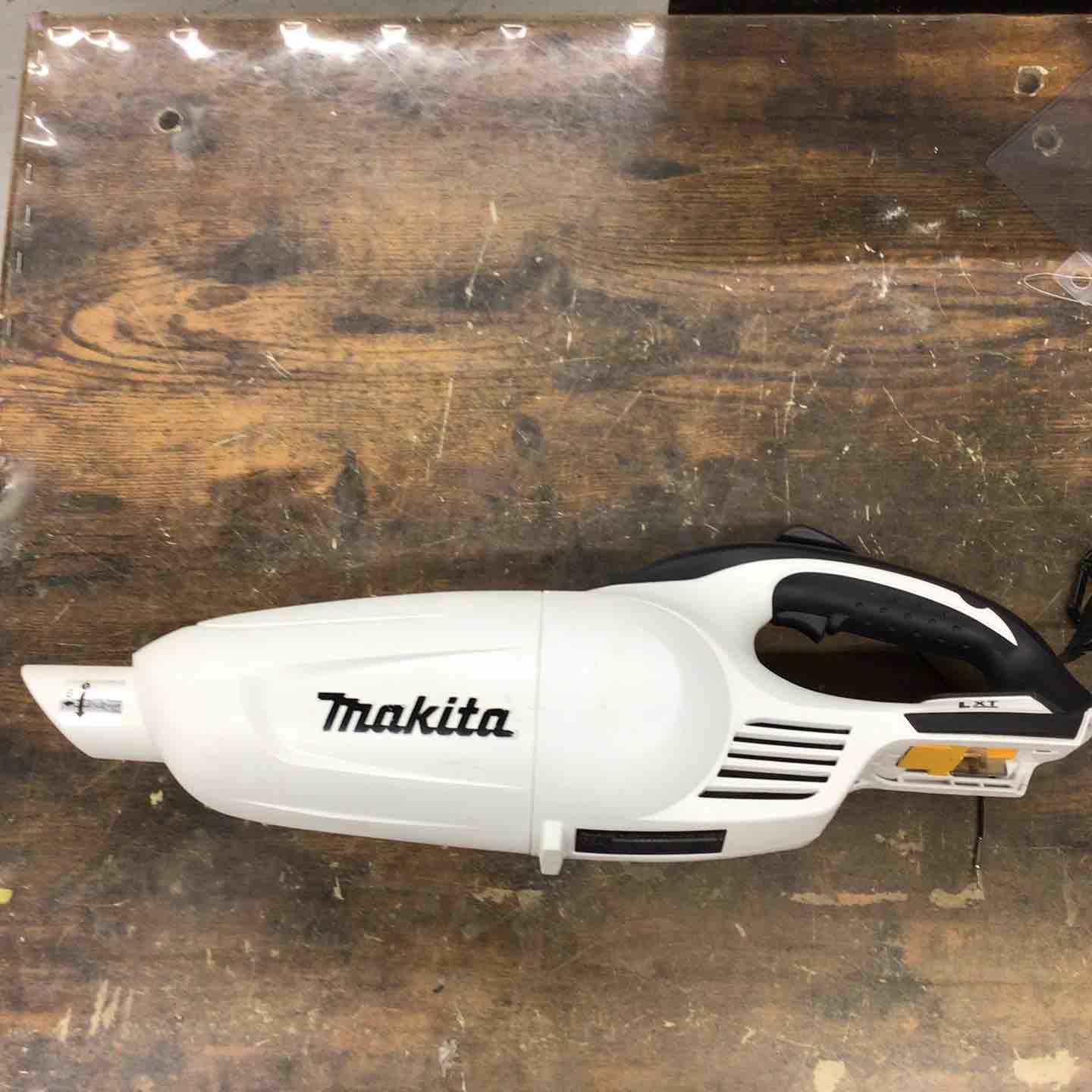 浮き輪柴犬♡夏