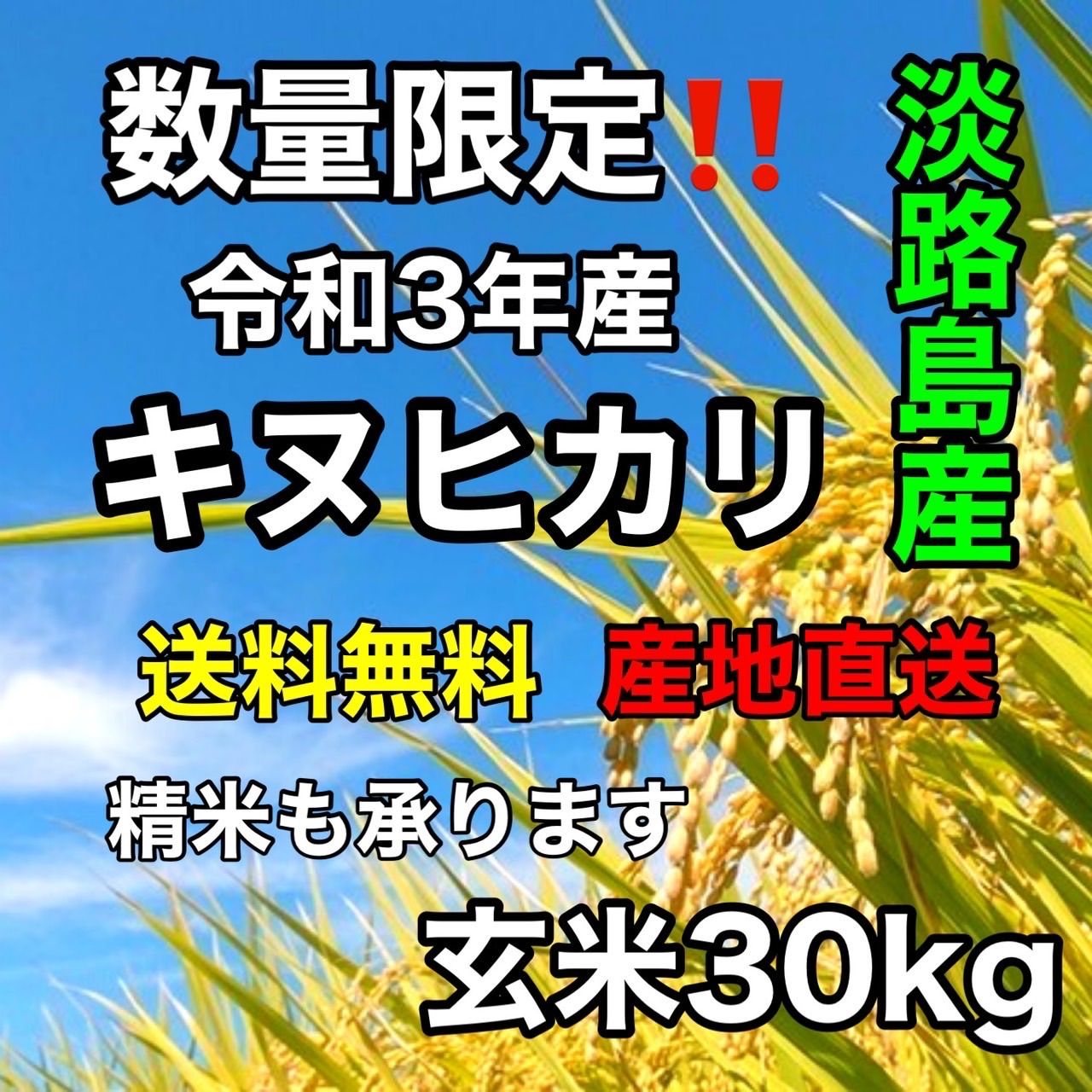 クリスマスツリー特価！ 新米 令和4年 産 キヌヒカリ 玄米30キロ 淡路島 精米小分け可 30kg