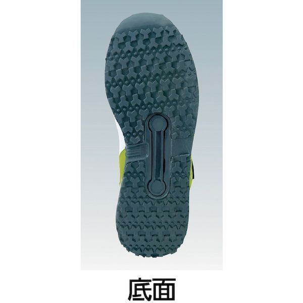 内海桂子師匠 絵画