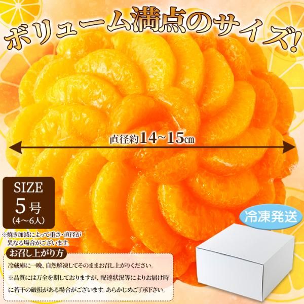 オレンジタルト みかんタルト 蜜柑タルト オレンジケーキ みかん