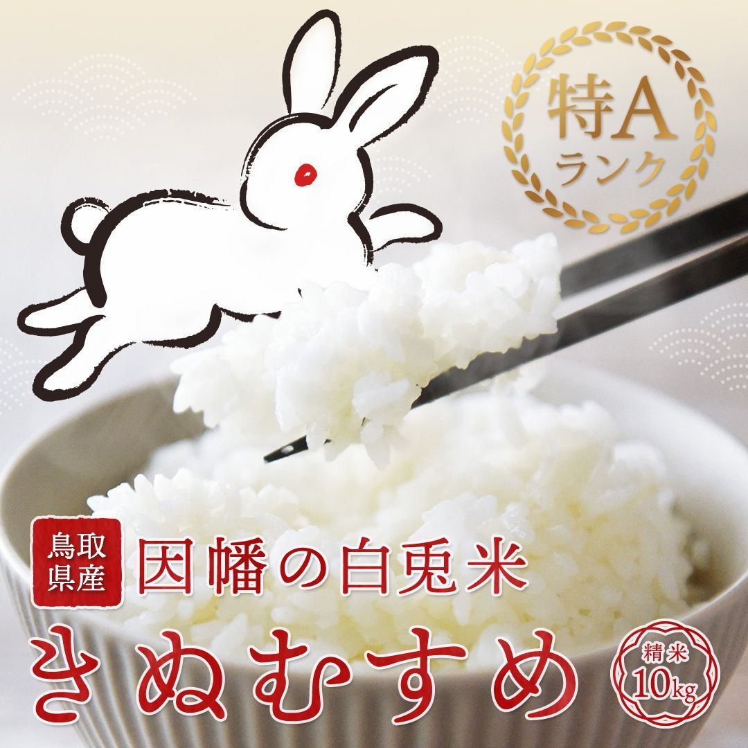 鳥取県産 因幡の白兎米 きぬむすめ 令和7年度産 精米済 10kg 5kg×2袋