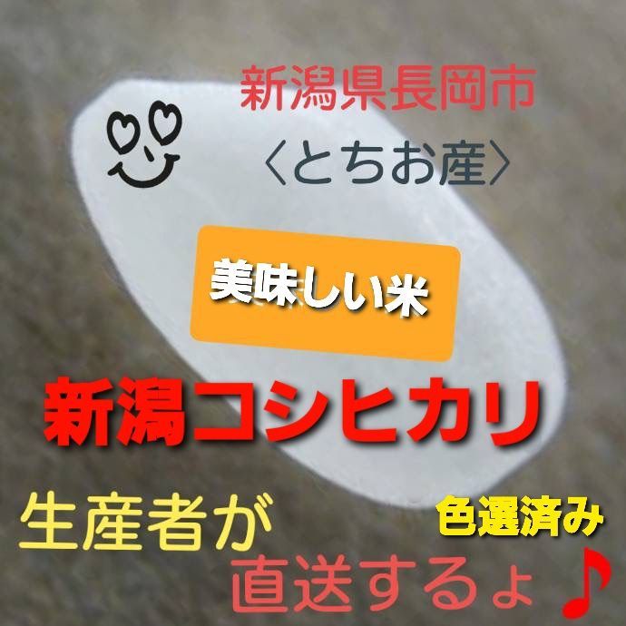 【アウトレット☆送料無料】 令和5年産 新潟コシヒカリ(長岡市_とちお産_希少)5㎏