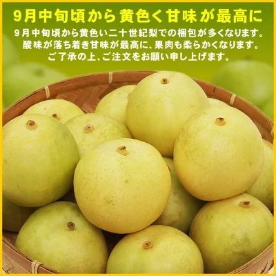 のサムネイル