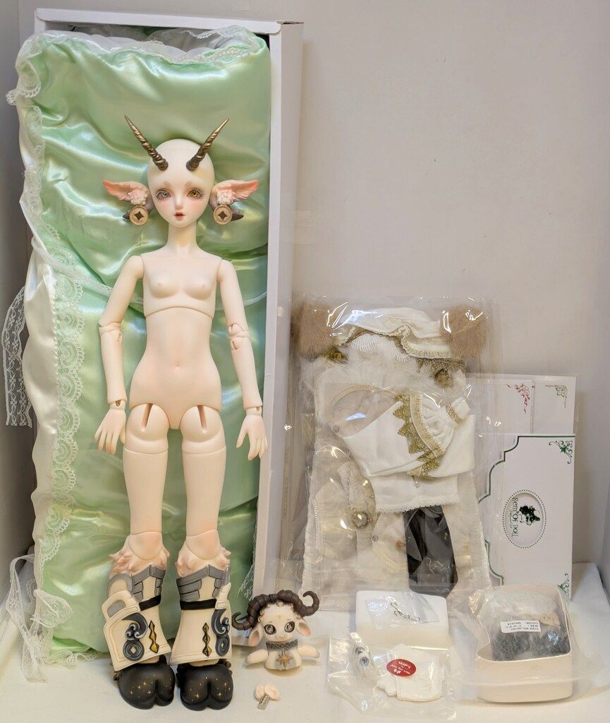 Olita Animal