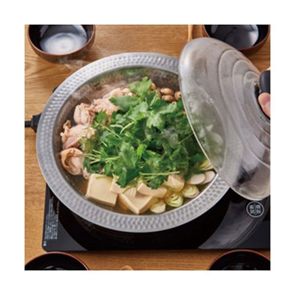 HARIO フタがガラスのIH対応ステンレス鍋26 雪平鍋 HRO03985