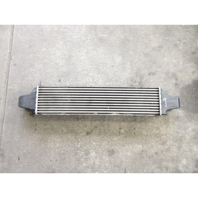 2014年 ボルボ S60 DBA-FB420 T5 インタークーラー 31338236 190736 4588 FFCRYSTALESIA_COM