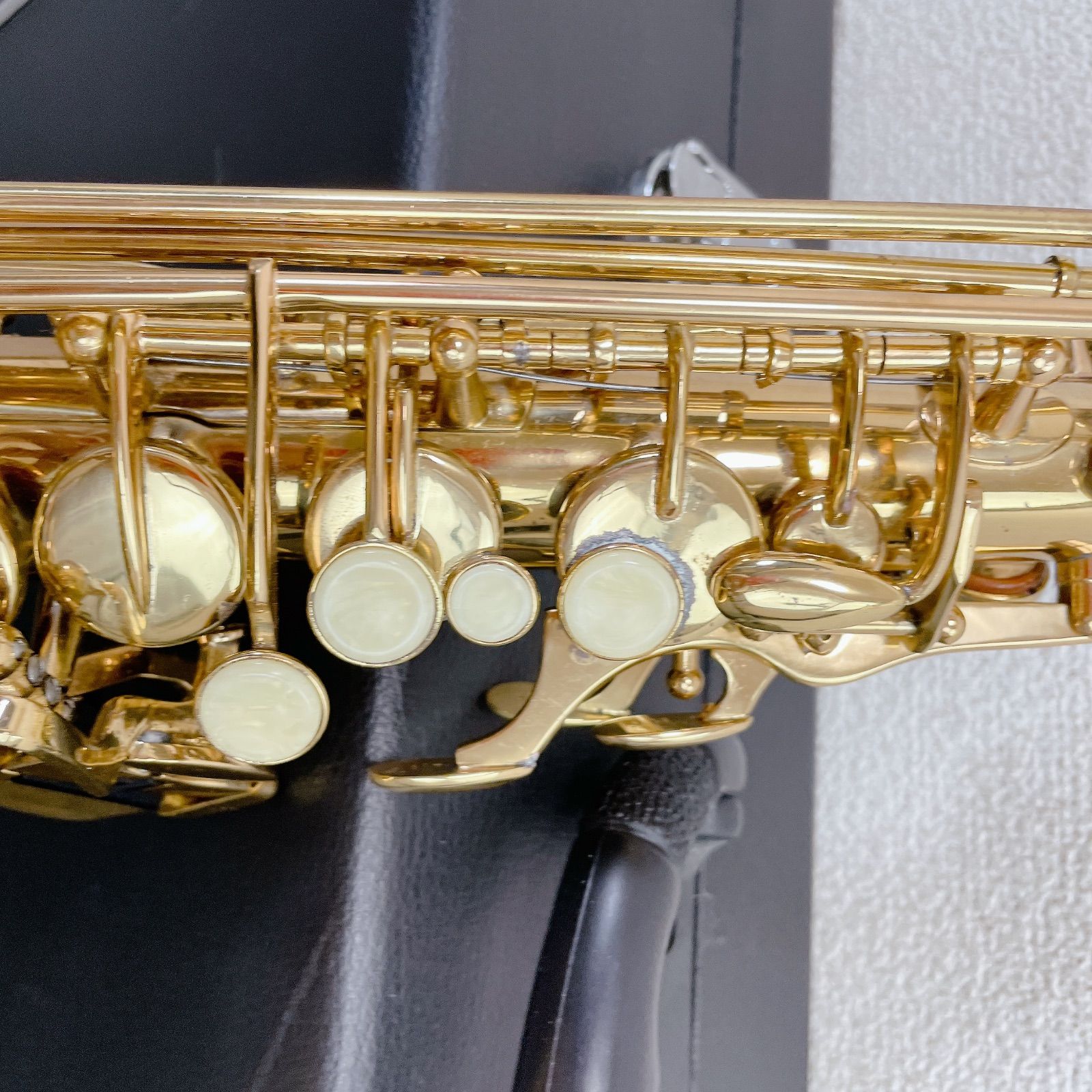 セミハードケース メイビス