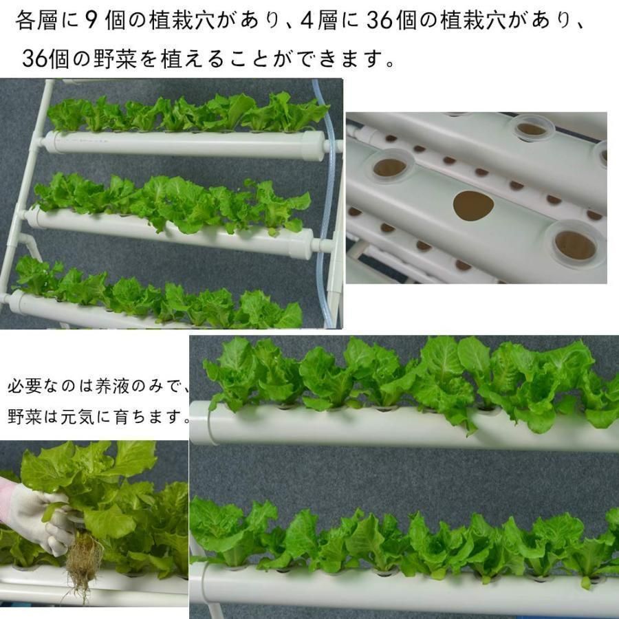 プランター 36穴