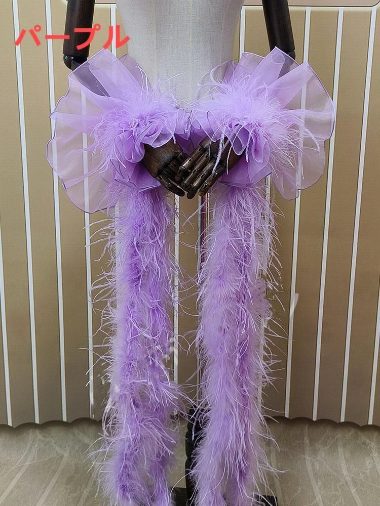 オーストリッチフロート 羽根 社交ダンス モダンダンス オーダーメイド