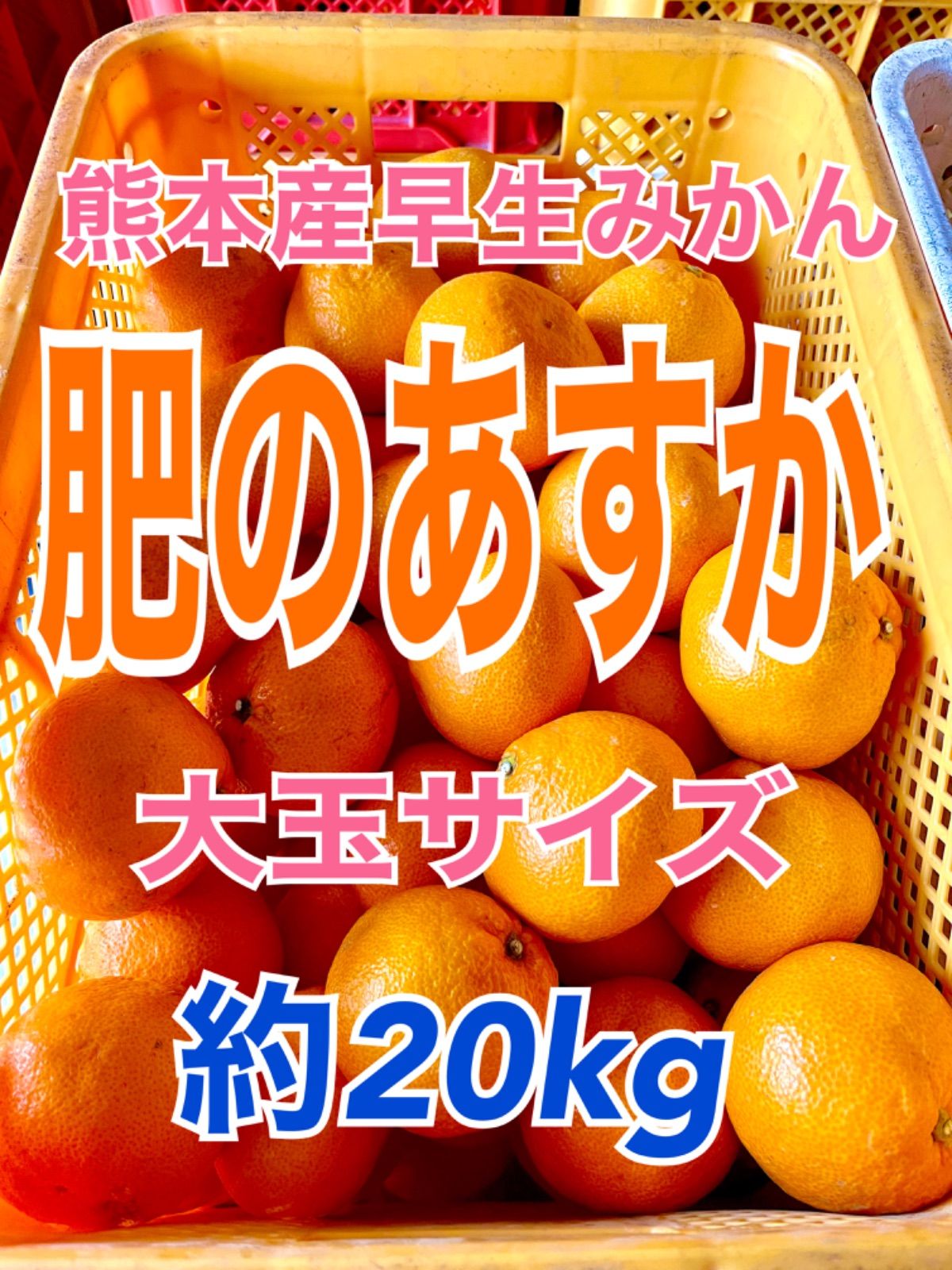 新しい 熊本産早生みかん肥のあすか小玉サイズ20kg 正味2kg 食品