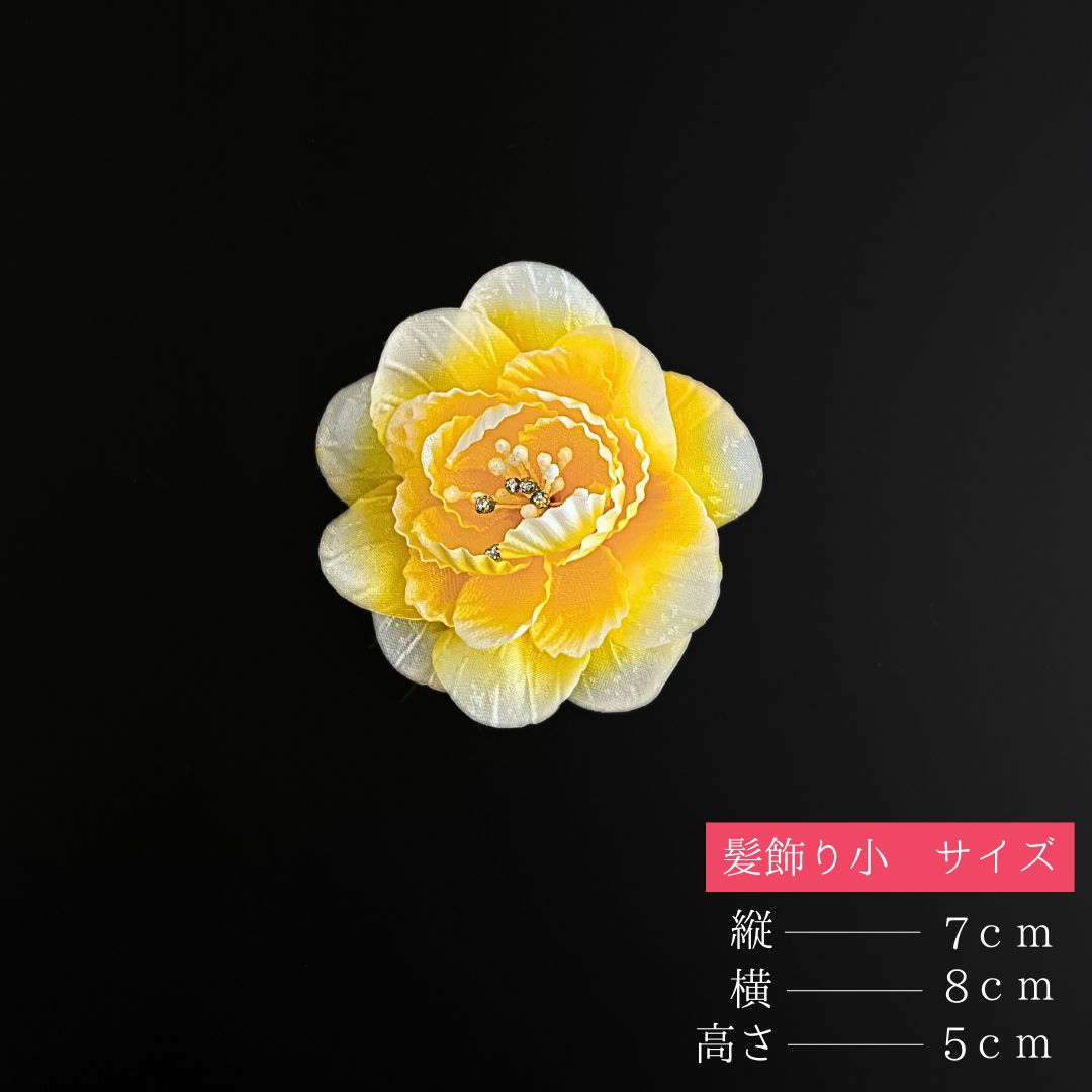 成人式
