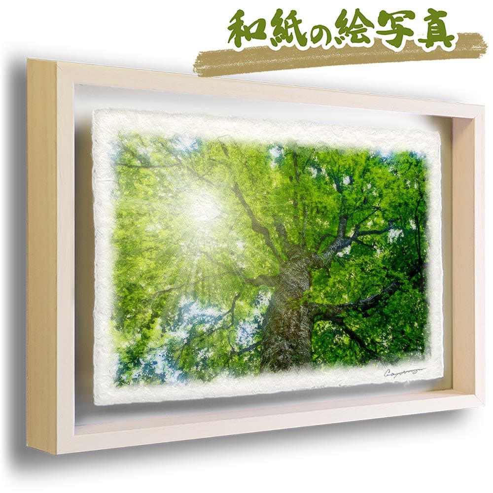 お買い得品 【コンプリートに】向山洋一全集 第3期 全14巻セット TOSS