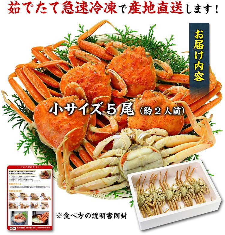 ?越前|松葉せいこがに?