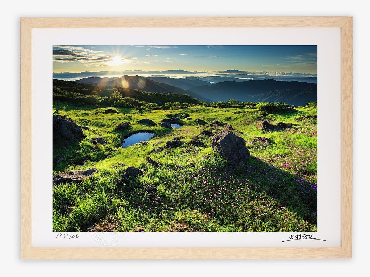 アートフォト 絵画 壁掛け 山上の夜明けとハクサンコザクラ群落/白山/インテリア 壁掛け 額入り 額装込 風景画 油絵 ポスター アート アートパネル リビング 玄関 プレゼント モダン アート