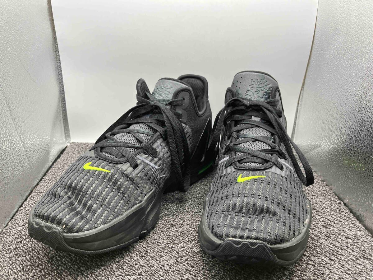 NIKE ナイキ DC8994-004 サイズ29cm LEBRON WITNESS VI EP