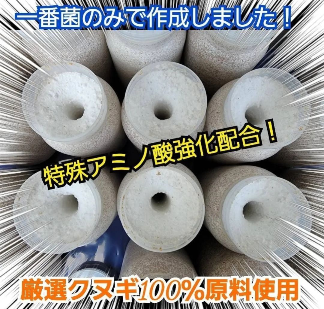 カワラタケ菌糸瓶 1100ml