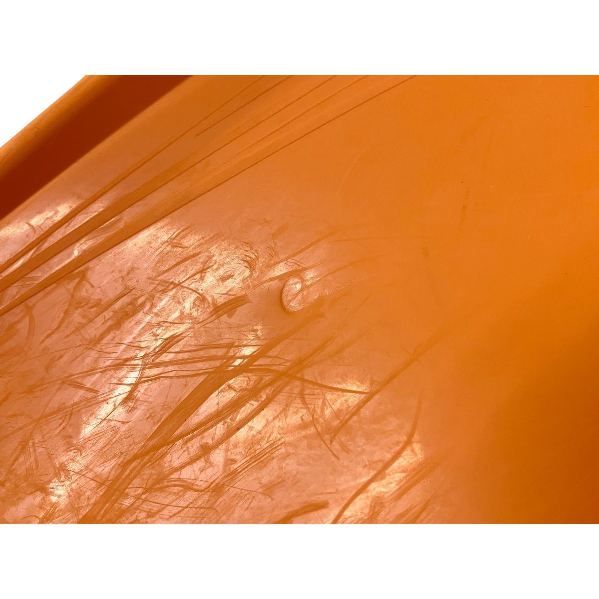 フィン ダイビング