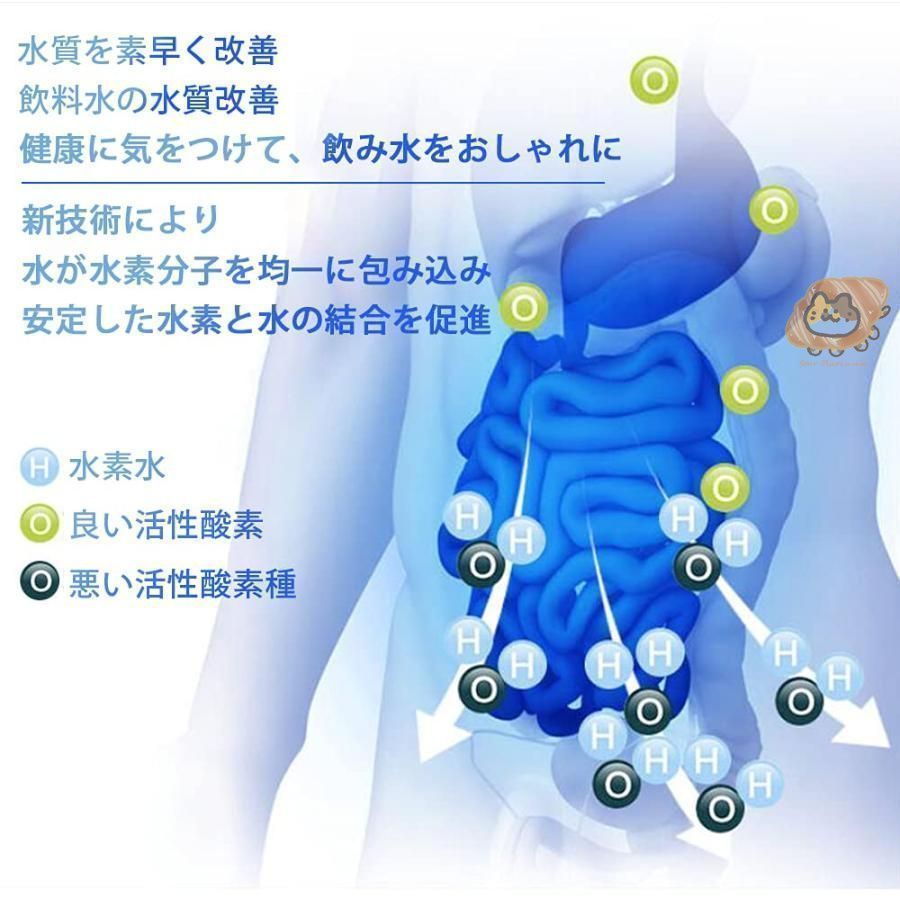 ポータブル 高濃度