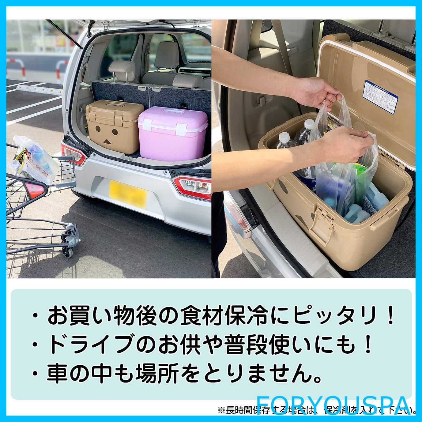 クーラーボックス13L