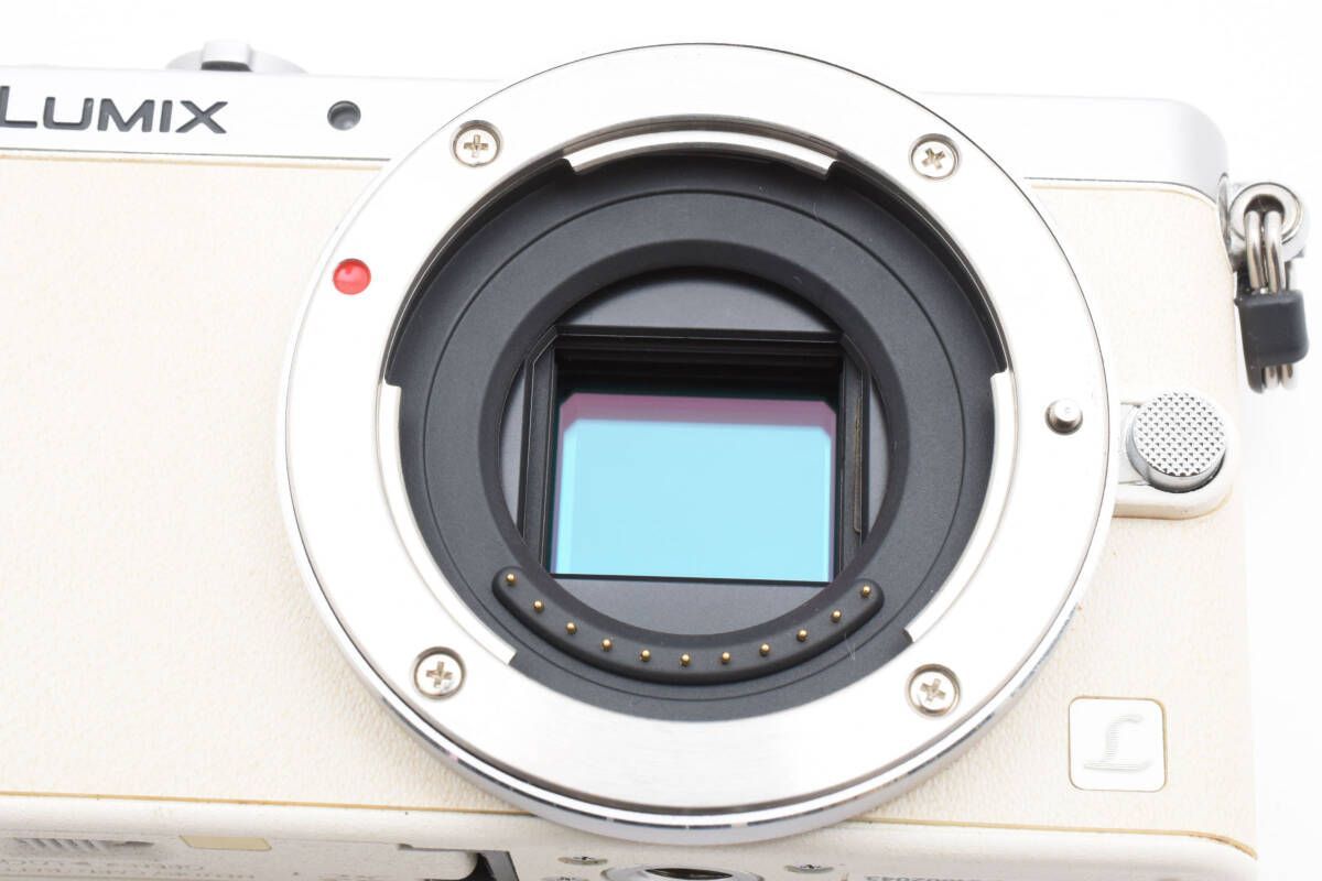☆極上品☆パナソニック Panasonic LUMIX DMC-GM1ボディ #2694W06002 