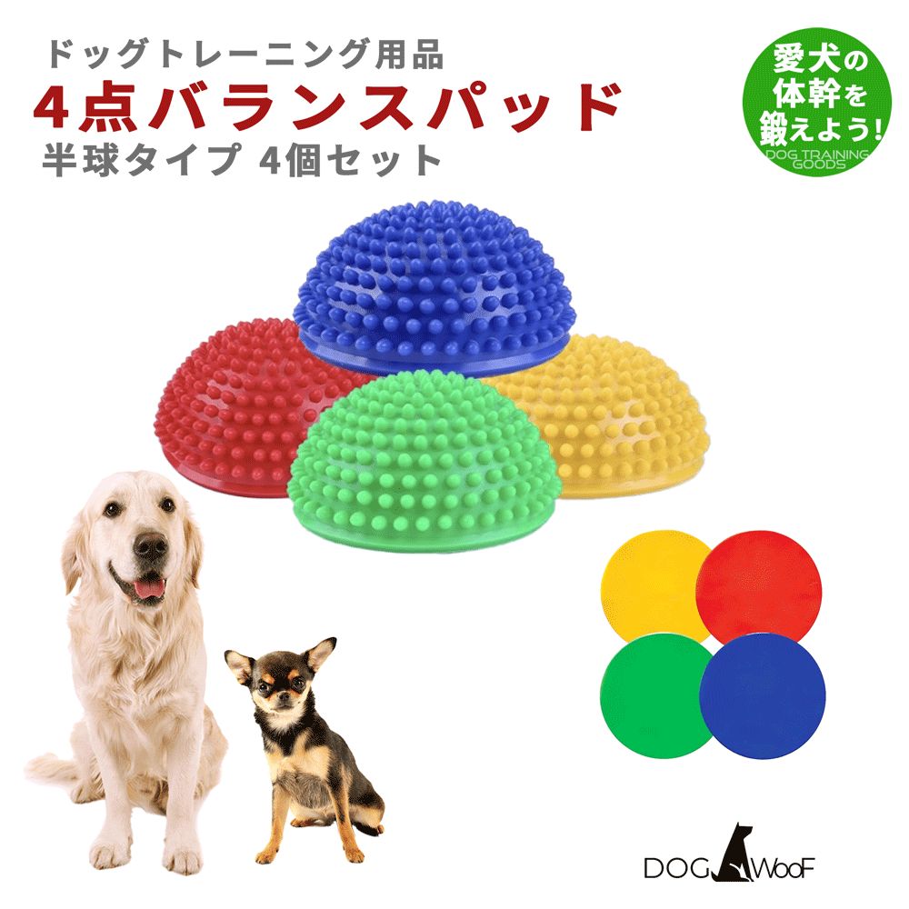 バランスボール 犬 ミニバランスボール 4個セット 小中大型犬 体幹トレーニング トレーニングターゲット4枚付