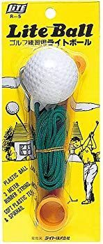 【】(未使用･未開封品) ライト R-5 ライトボール gsx453j