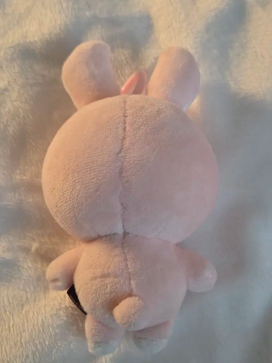 ぬいぐるみ ぬい