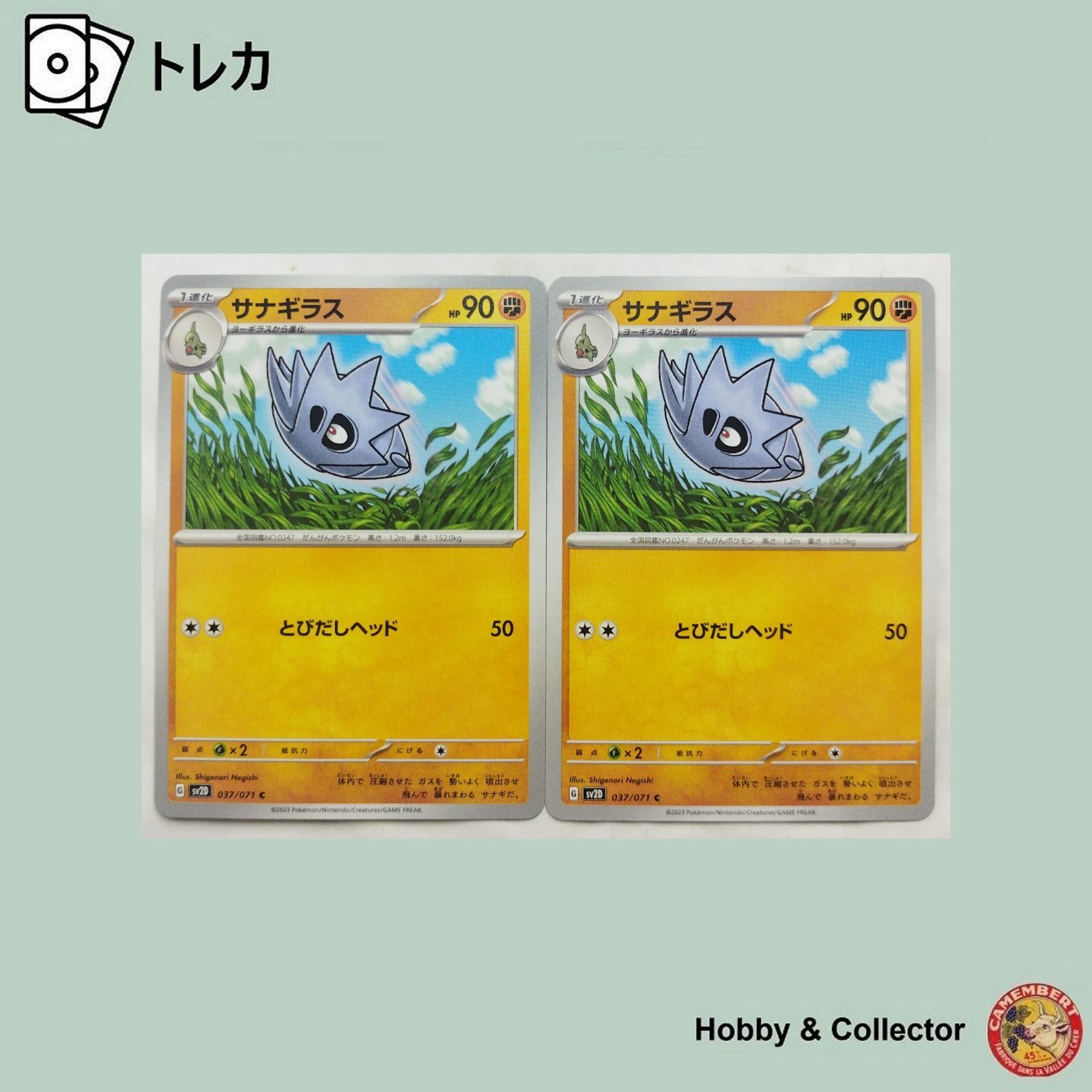ポケモン - narsusさま専用 SR ネズ 264/184［s8b］｜ポケモンカードゲーム通販｜シングル