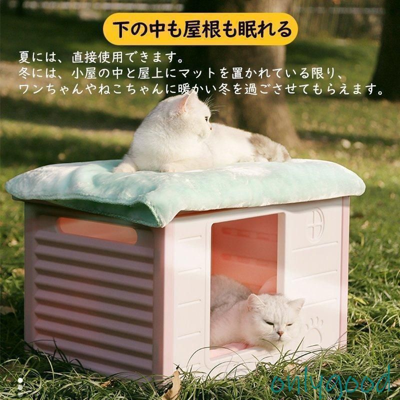 野良猫 避難所