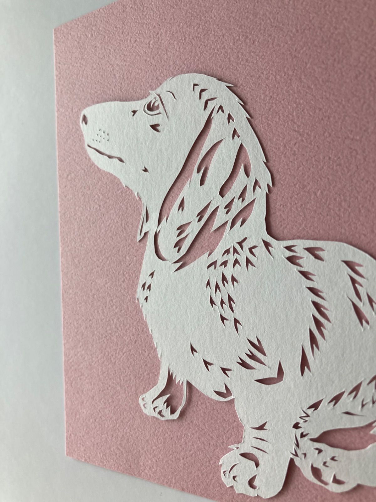 切り絵 【横顔シリーズ〜ミニチュアダックスフンド〜】「好奇心旺盛な