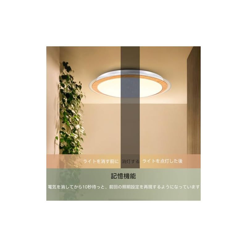 天井照明器具
