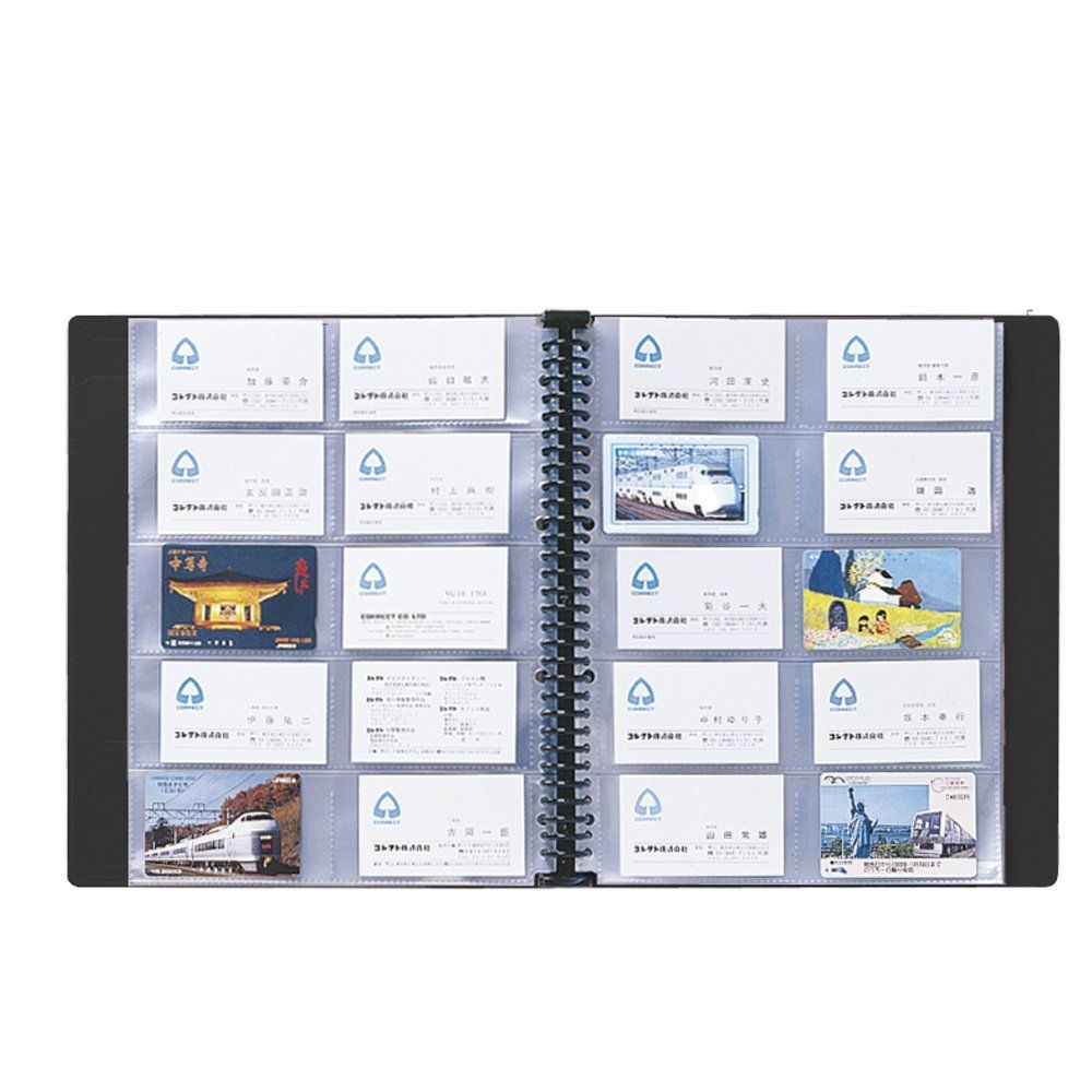 まとめ買い）コレクト 10ポケットバインダーブラック(厚型) 30穴 2列5