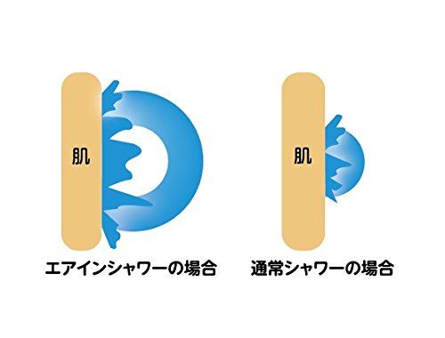 単品 シャワーヘッドのみ