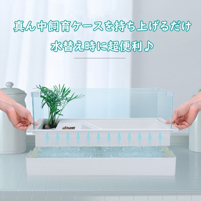 水替え便利
