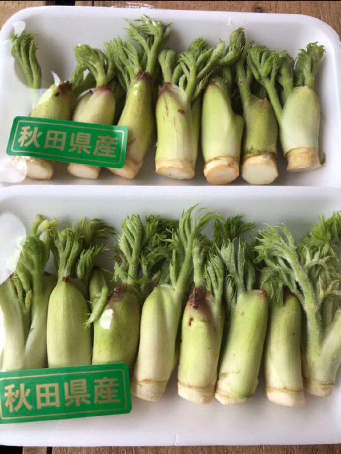 おいしい野菜研究室様