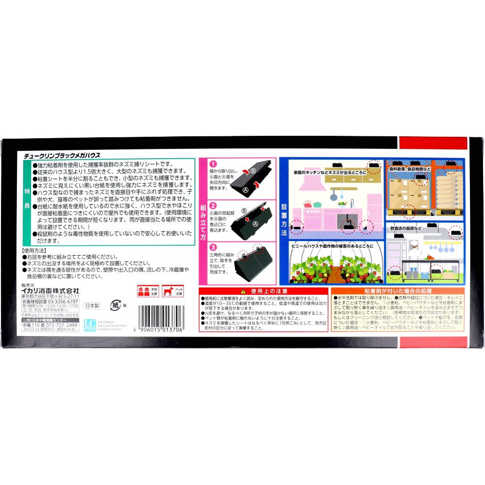 2枚入