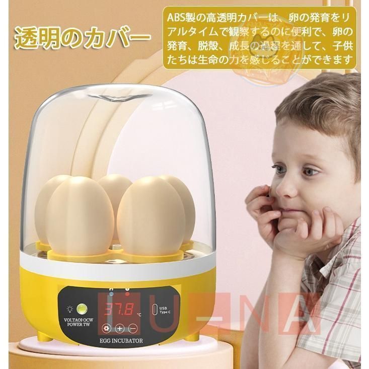 新品未使用☆自動転卵・カバー付き孵卵器 【公式通販】