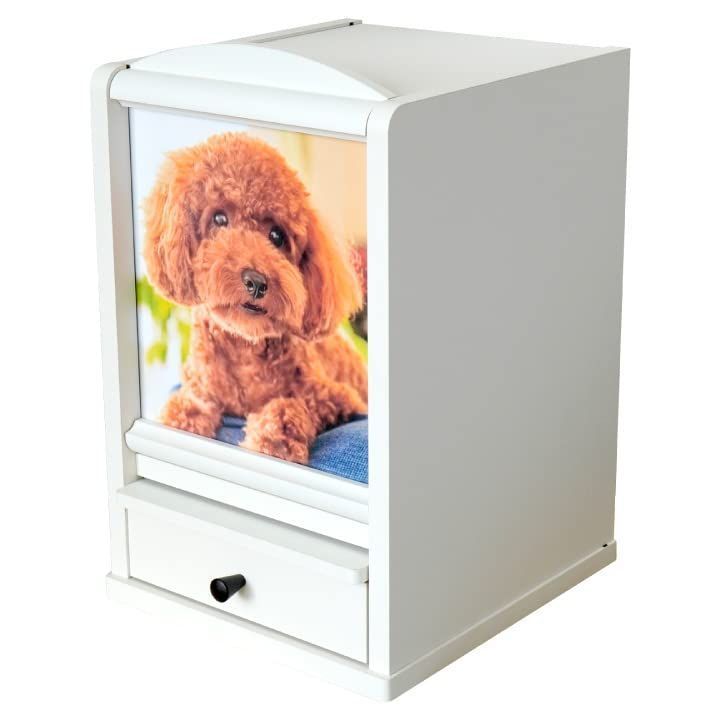 ハチドリ 紫の花付きグリーントルマリン台座ブラジル産NO25-.2366