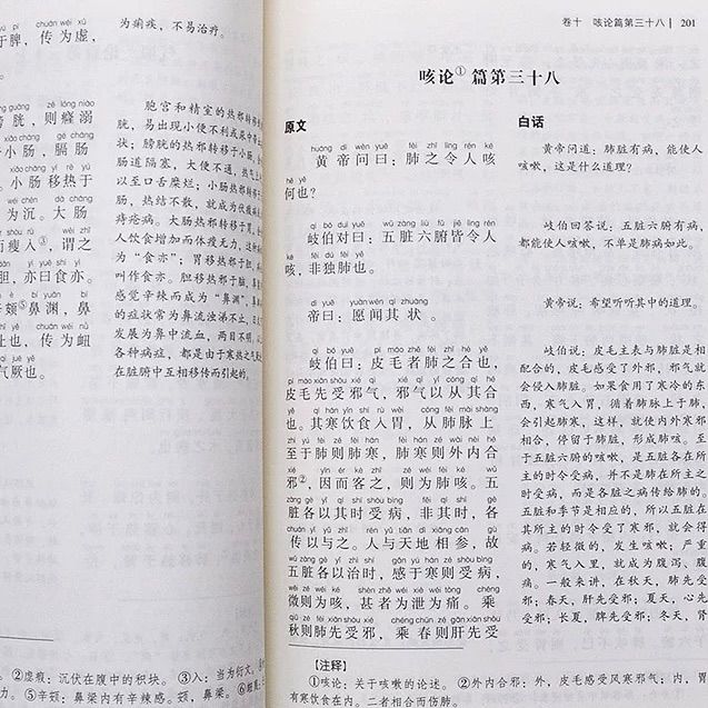 早割 旅行 黄帝内経 中国語 ピンイン付き 注音版 二冊 灵枢+素问