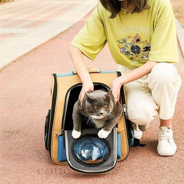 子猫用