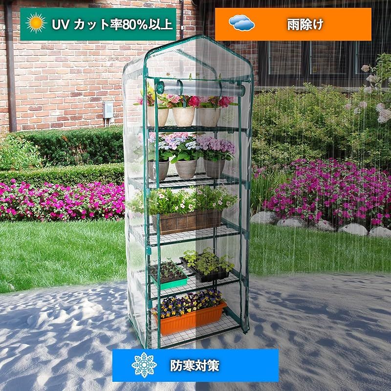 緑
