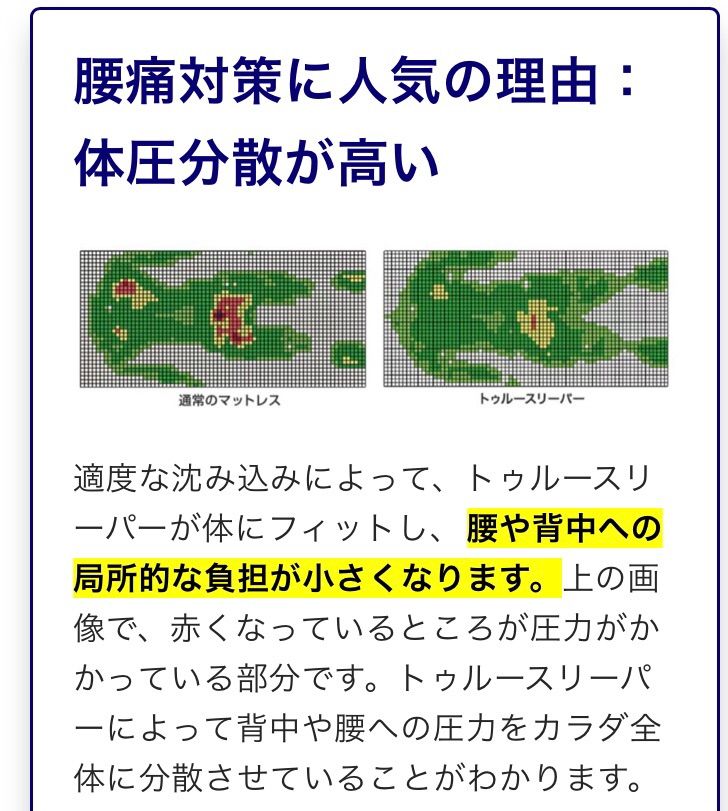 先着2名様限定 お得な4点セット！ プレミアリッチ トゥルースリーパー