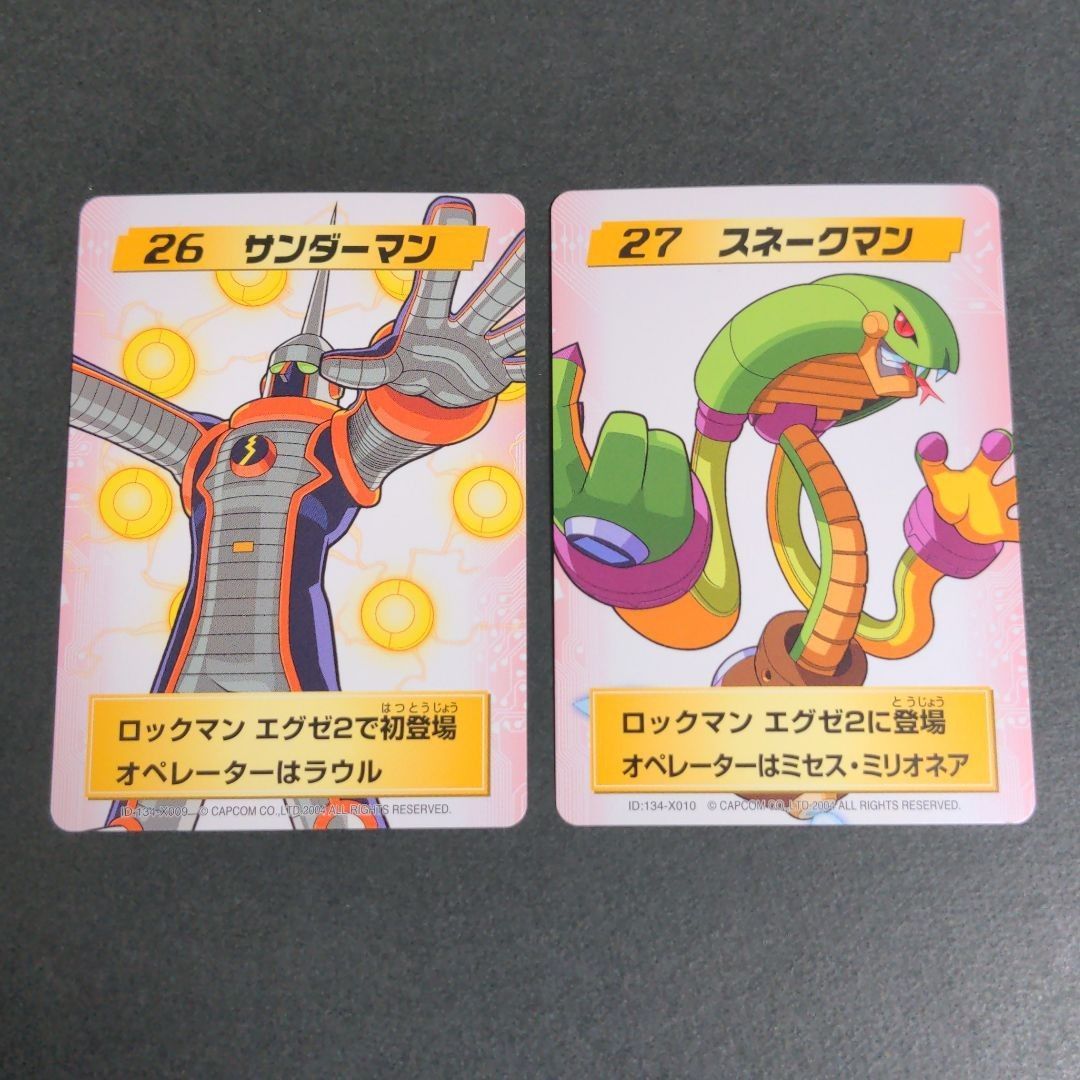 ロックマンエグゼ 改造カード パート2 キャラクターカード ロックマンエグゼ 改造カード パート2 キャラクターカード