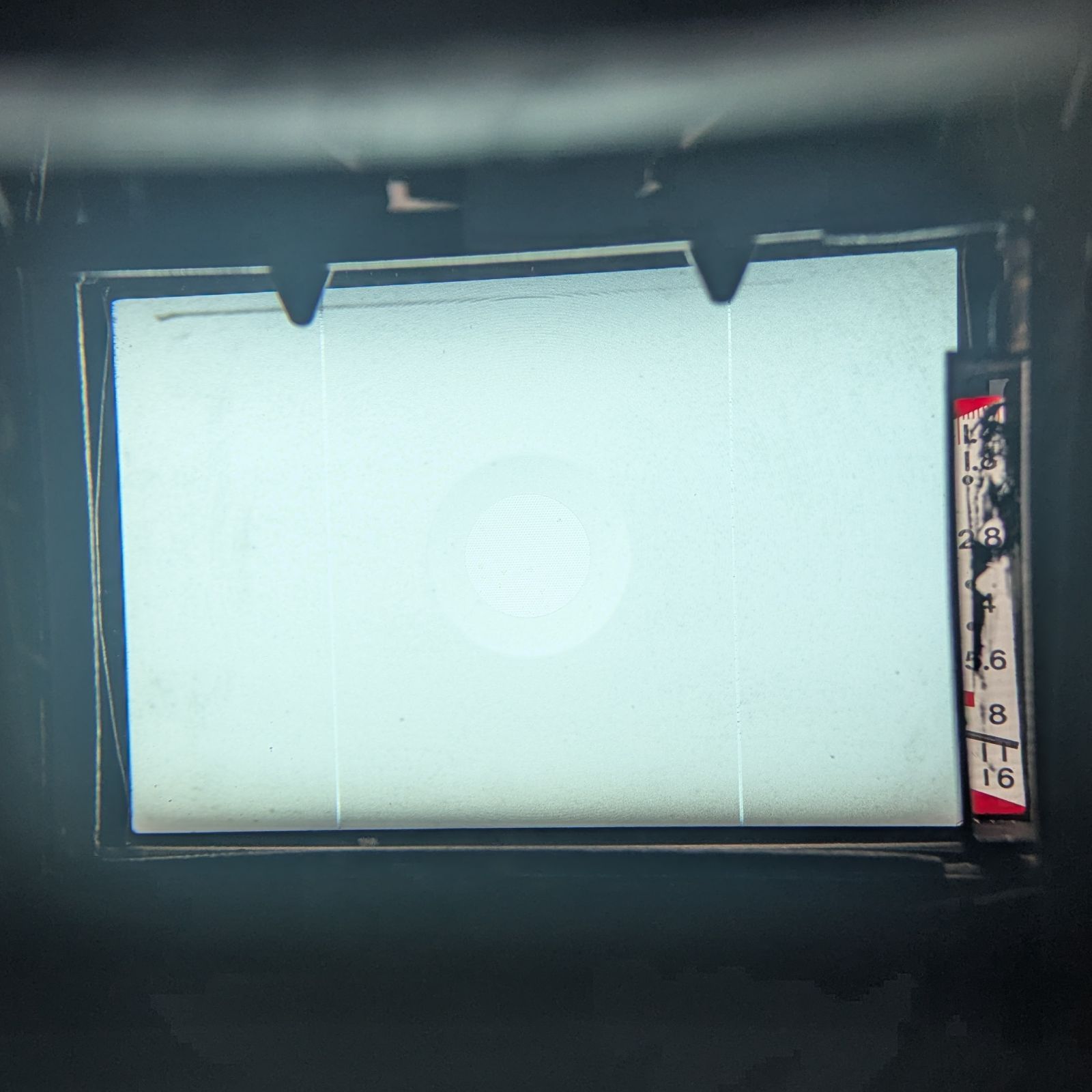 ボディ ハーフサイズ